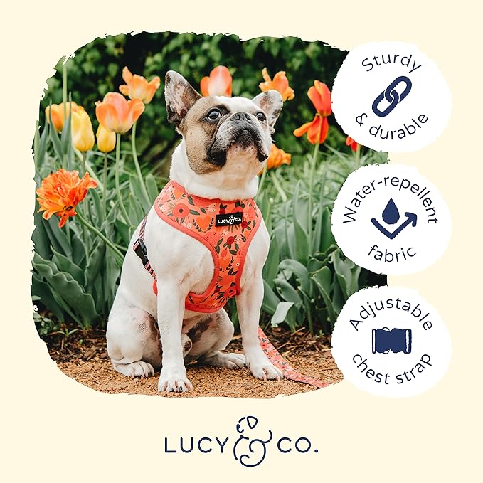 Lucy & Co. Reversible Dog Harness Walking Halter - Best Designer Pet Harnesses for Extra Small Medium Large XL Dogs Plus Pug Breeds - Padded Adjustable Puppy Vest for Easy Walking