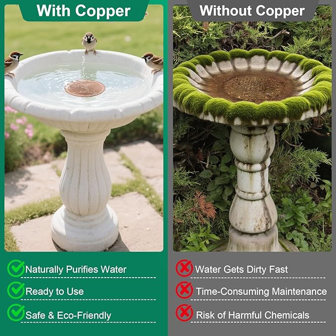 1 Pcs Copper Disc for Bird Bath | 99.99% Pure Copper Plate & Birdbath Disk | 0.6mm Thick Reinforced Design | Maintains Clean Water Naturally | Fits All Birdbath Bowls Year-Round (Bird Style 3)