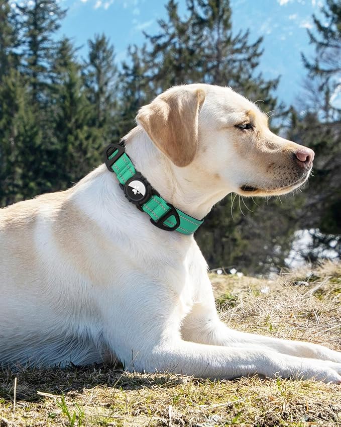 Joytale Airtag Dog Collar, Reflective Pet Collar with Waterproof AirTag Holder, Dual D-Rings, Soft Padded Adjustable for Large Dogs, Teal, L