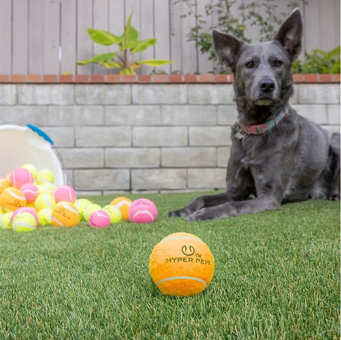 Hyper Pet MINI Tennis Balls for Dogs Safe Dog Toys & Tennis Balls for Exercise, Training, Hyper Pet K9 Kannon Dog Ball Launcher) Bright Colored Interactive Orange Pack of 4