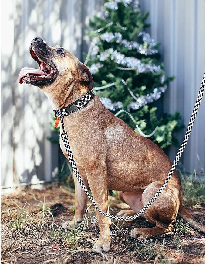 Roses&Poetry Dog Collar with Colourful Checkered Patterns, Adjustable Durable Puppy Collars for Small Medium Large Dogs (Black & White-XS)