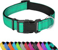 Reflective Dog Collar, Adjustable Soft Neoprene Padded Nylon Pet Collars with Buckle for Small Dogs, Grass Green,S