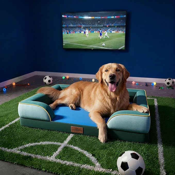 Comfort Expression Orthopedic Dog Bed for Large Dogs 36x27 Inch, Waterproof Egg Crate Foam Large Pet Bed with Removable Bolsters, Dog Couch with Washable Cover & Non-Slip Bottom, Seattle