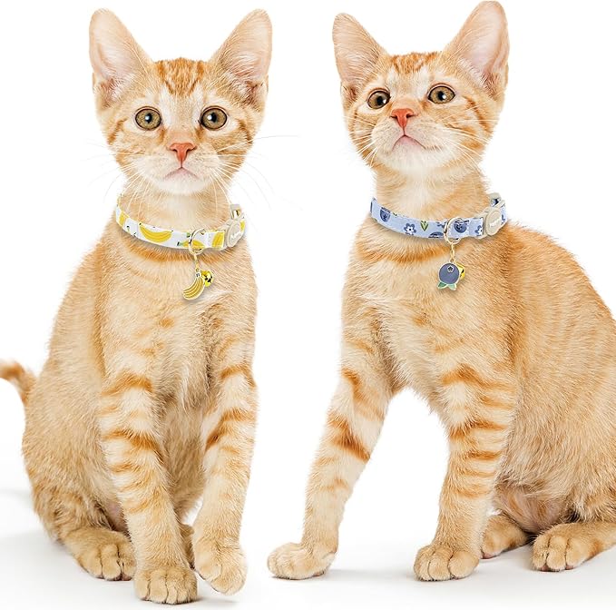 Faygarsle 2 Pack Blueberry Banana Pattern Cat Collars Breakaway Safety Collar with Bell Spring Summer Design for Girl Cats,Yellow Light Blue