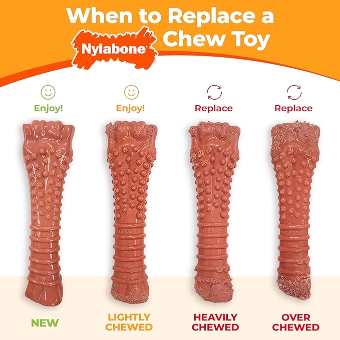 Nylabone Original Bone Power Chew Toy for Dogs, Durable & Tough Dog Toys for Aggressive Chewers, Bacon Flavor, Small - Up to 25 lbs - Up to 25 Ibs, 1 Count