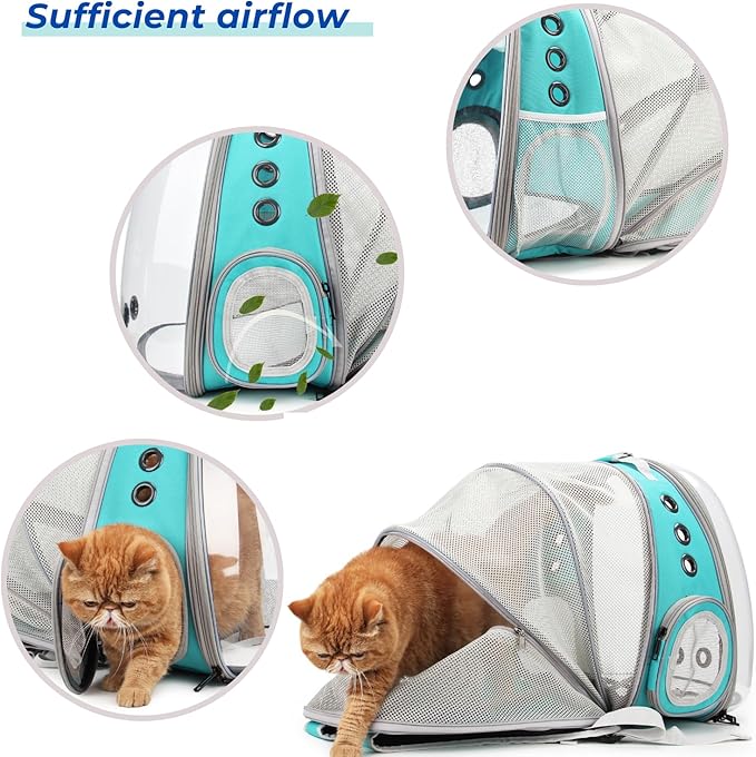 Lollimeow Cat Carrier Backpack, Expandable Bubble Pet Carrier for Cats and Small Dogs, Airline Approved Travel Backpack for Hiking, Walking & Outdoor Adventures - Supports up to 14 lbs