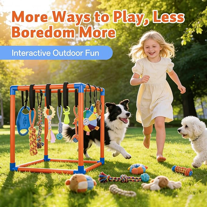 Puppy Play Gym for Small Dogs with 10 Hanging Squeaky Toys - Indoor Enrichment Activity Center with Climbing, Sliding & Interactive Toys, Jungle Gym for Puppy Play