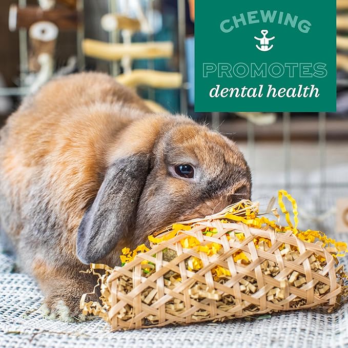 Oxbow Enriched Life Timothy Party Pack – Rabbit and Guinea Pig Toys, Chinchilla and Hamster Enrichment, Small Pet Accessories for Cages, Bunny Chew Toys Made with Timothy Hay, 6 Piece Variety Set