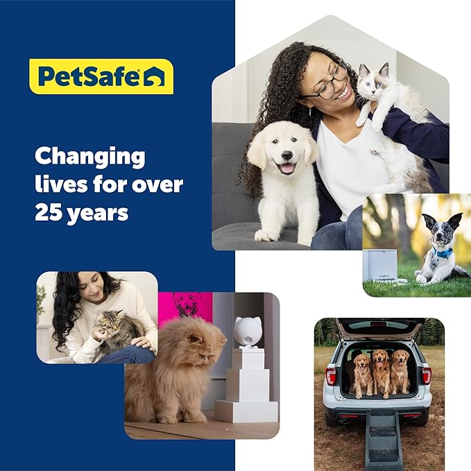 PetSafe KeepSafe Collar for Dogs - Protects Against Collar Accidents - Long Lasting - Durable - Adjustable - Breakaway - Outdoor-Safe - Medium - 3/4 In. Wide - Blue