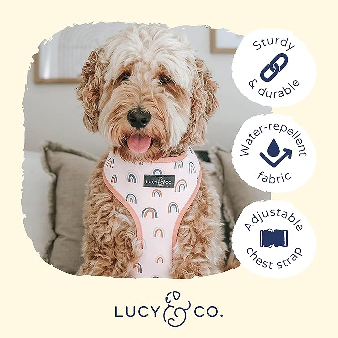 Lucy & Co. in The Clouds, Cute Reversible Dog Harness Walking Halter - Best Designer Pet Harnesses for Medium Dogs - Padded Adjustable Vest for Easy Walking (X-Large)