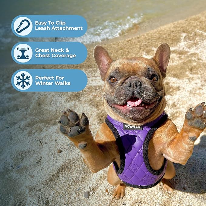 Best Pet Supplies - All Weather Plush, Reflective, No Pull Harness for Small, Medium Dogs, Cats - Secure with Hook & Loop Fastener, Buckle, Double D-Rings - Purple Faux Leather, L