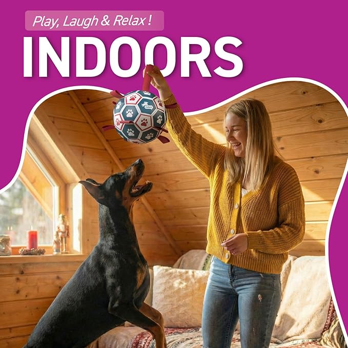 QDAN Dog Toys Soccer Ball with Straps, Durable Giant Dog Balls, Outdoor Dogs Toys, Herding Ball, Birthday Gifts (10 Inch)