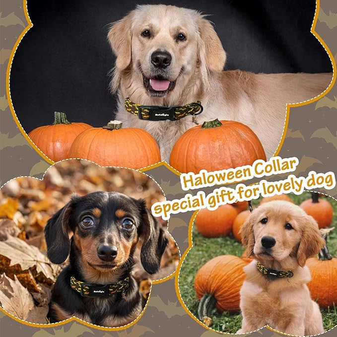 Fall Dog Collar, Halloween Dog Collars for Small Dogs, Cotton Puppy Collar with Bat Pattern, Pet Collar for Small Medium Large Dogs, Girl Boy Dogs Collar with Quick Release Buckle-S