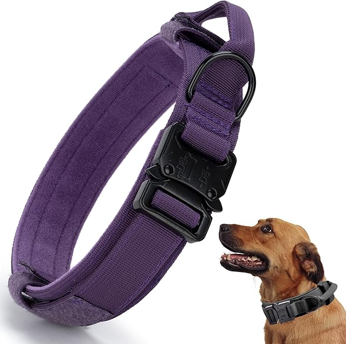 Tactical Dog Collar, Adjustable Military Training Nylon Dog Collar with Control Handle and Heavy Quick-Release Metal Buckle for Small Medium Large Dogs, Purple L