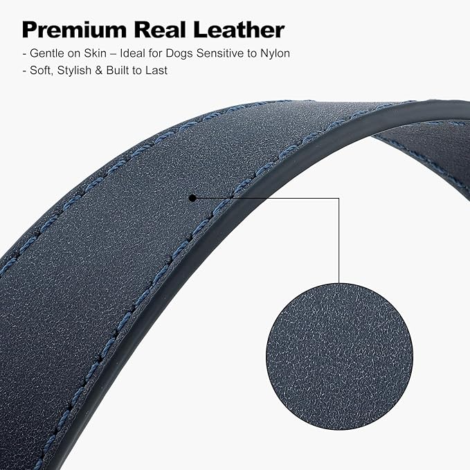 Plutus Pet Genuine Leather Dog Collar – Adjustable Pet Collar with Quick Release Metal Buckle, Soft Real Leather for Small Medium Large Dogs, Heavy Duty & Skin-Friendly (Blue, M)