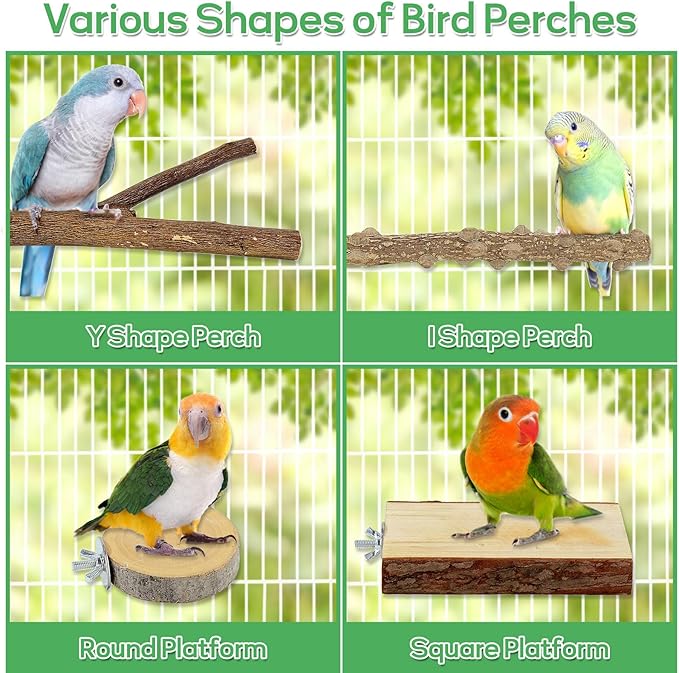 7PCS Natural Wood Bird Perches for Cage, Bird Parrot Parakeet Perch Stand, Bird Parakeet Cage Accessories, for Cockatiels Conure Budgies Small and Medium Parrots