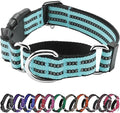 Hikiko Martingale Dog Collars Reflective Nylon Dog Collar with Quick Release Buckle Adjustable Training No Slip Dog Collar (Large, Sky Blue)