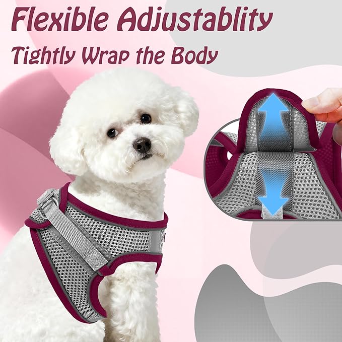 AIITLE Comfortable Dog Harness and Leash Set for Walking - Christmas Step in Vest Harness,Reflective Bands, Adjustable No Pull Puppy Essentials, for Small Dogs and House Cats Burgundy XS