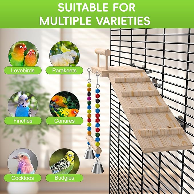 Bird Perches Platform Swing with Climbing Ladder,Bird Wooden Playground,Bird Swing for Green Cheeks, Small Lovebirds, Goldens, Hamsters, Parakeet Cage Accessories