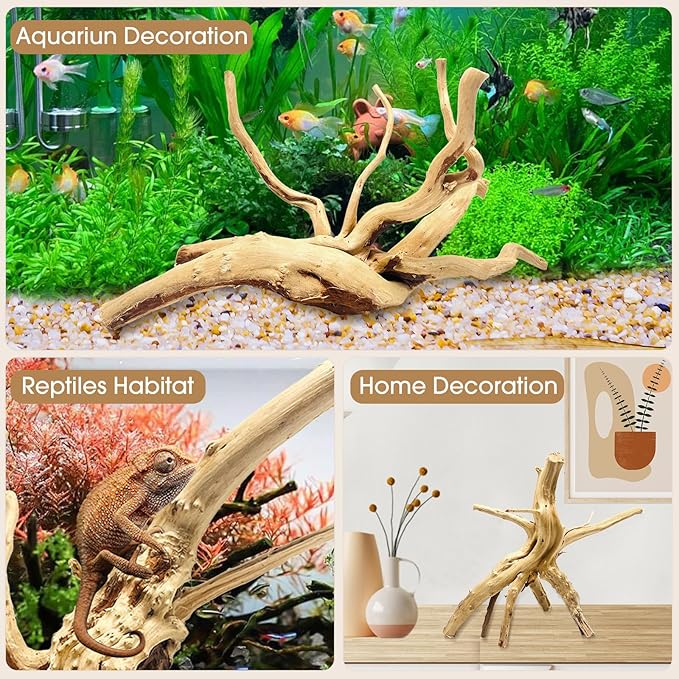 Jorewood Natural Large Spiderwood Driftwood for Aquarium Decor Rptile Fish Tank Decoration Assort Branch 13-16'' Pack of 1