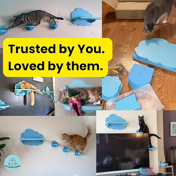 Cat Wall Shelves for Large Cats – 4-Piece Wall Mounted Cat Furniture Set, Floating Climbing Shelves & Stairs, Sturdy 30+ lb Support, Modern Vertical Wall System (Cloud Blue)