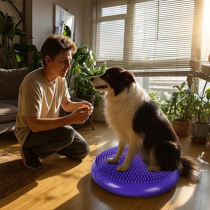 Dog Balance Disc 14", Dog Balance Equipment with Cushion and Pump, Pet Training Platform for Pet Rehabilitation Training, Strength Train Stability, Suitable for Small and Medium-Sized Pets