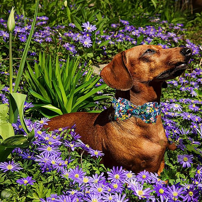 Lionheart glory Dog Collar Darkblue Flower Dog Bow Collars Floral Dog Collar with Bow Male or Female Spring Fall Pet Gift Durable Adjustable Dog Collar for Medium Dogs