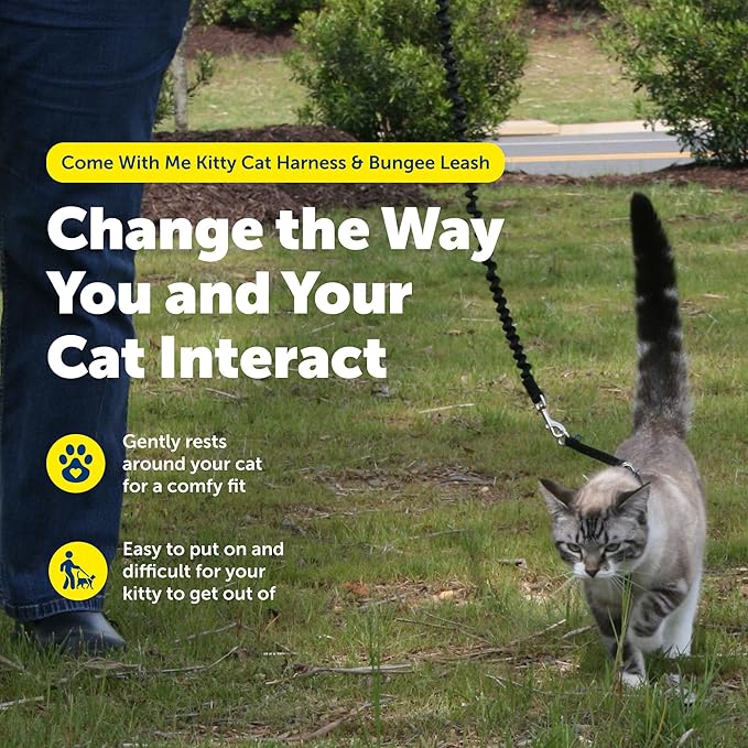 PetSafe Come With Me Kitty Cat Harness & Bungee Leash - Comfortable Cat Harness with Lightweight Bungee Leash for Outdoor Fun - More Secure Walks - Medium - Black