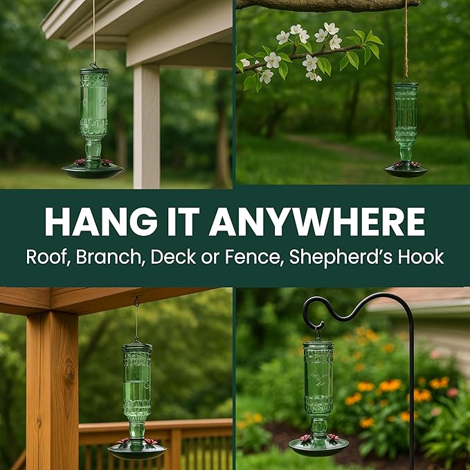 Perky-Pet Glass Bottle Hummingbird Feeder - Outdoor Garden Décor Humming bird Feeder, 8108-1SR - 10 Fl Oz Nectar Capacity - Durable Green Antique Design - Hang from Tree, Porch, Deck, Hook