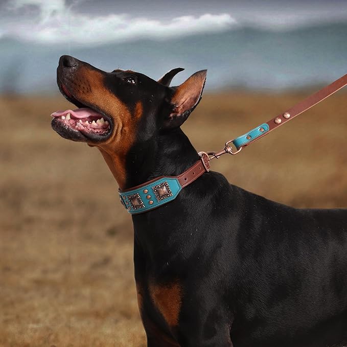 PET ARTIST Soft Padded Leather Dog Collar, 2 inch Wide Genuine Leather Dog Collars with Stylish Studded Rivet & Metal Buckle, Luxury & Adjustable Pet Collars for Medium Dogs,Green,Neck 16-19"