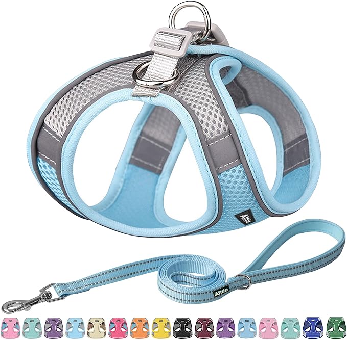 AIITLE Small Harness for Puppy with A Leash - Dog Vest Harness with Super Breathable Mesh, Reflective No-Pull Pet Harness for Outdoor Walking, Running for Small Dogs, Cats Blue XXS