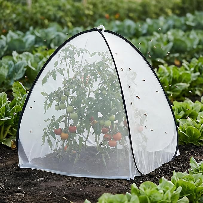 2 Pcs Pop Up Insect Barrier Plant Cover Tent, 22 x 22 x 22 Inch Foldable Garden Plant Protectors Mesh Enclosure, Garden Net Cage Bird Insect Guard Cover for Protecting Plants Fruits Vegetables