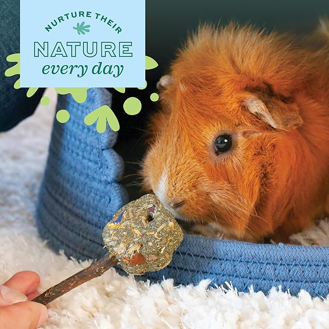 Oxbow Enriched Life Timothy Party Pack – Rabbit and Guinea Pig Toys, Chinchilla and Hamster Enrichment, Small Pet Accessories for Cages, Bunny Chew Toys Made with Timothy Hay, 6 Piece Variety Set