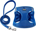 BOOMIBOO Dog Harness with Leash Set, No Pull Adjustable Reflective Step-in Puppy Pet Vest Harnesses for Small Medium Large Dogs and Cats,Blue S