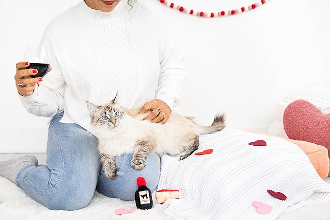 Pearhead Pet Cheese & Wine Cat Toys Set of 2 – Plush Catnip Toys with Crinkle & Rattle, Valentine’s Day Interactive Cat Toys for Indoor Cats
