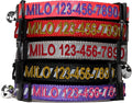 Pawtitas Personalized Pink Reflective Cat Collar – Adjustable Custom Collar with Safety Buckle, Removable Bell, and Engraved Name & Phone Number for Kittens and Adult Cats