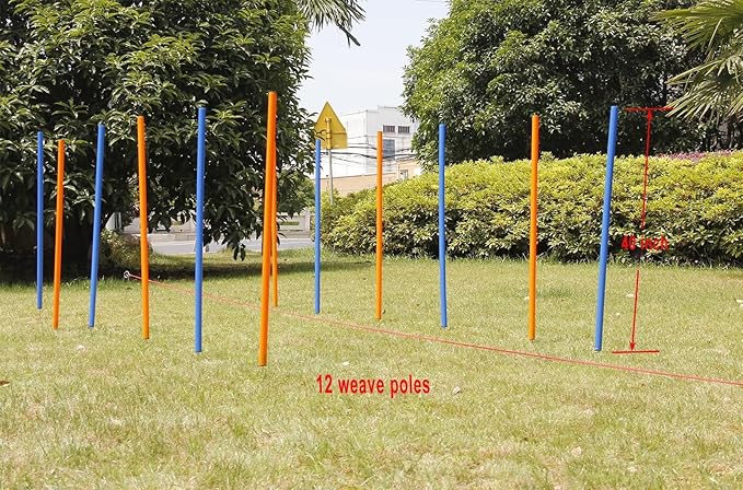 PAWISE Dog Agility Training Equipment,12 Weave Poles for Dogs with Stakes & Carry Bag, Dogg Agility Training Set for Outdoor Obstacle Course, Backyard Dog Exercise & Training Equipment for All Breeds