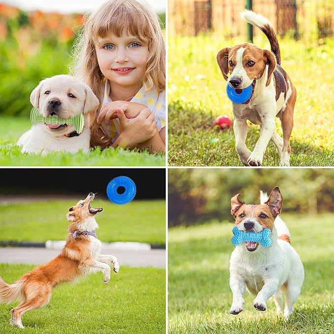 3-Pack Puppy Chew Toys for Teething Relief – Soft & Durable Rubber Toys for Small & Medium Puppies, Includes Squeaky Donut, Bone & Food-Dispensing Toys for Teeth Cleaning & Oral Health