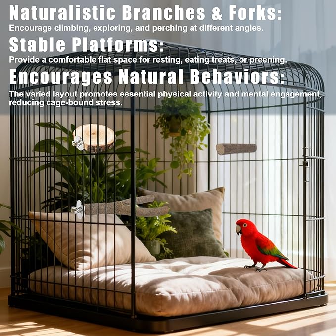 8 PCS Bird Perch Set, Natural Birch Wood Straight & Forked Perches with Platforms for Parakeets, Cockatiels, Conures, Lovebirds - Cage Accessories for Climbing & Exercise