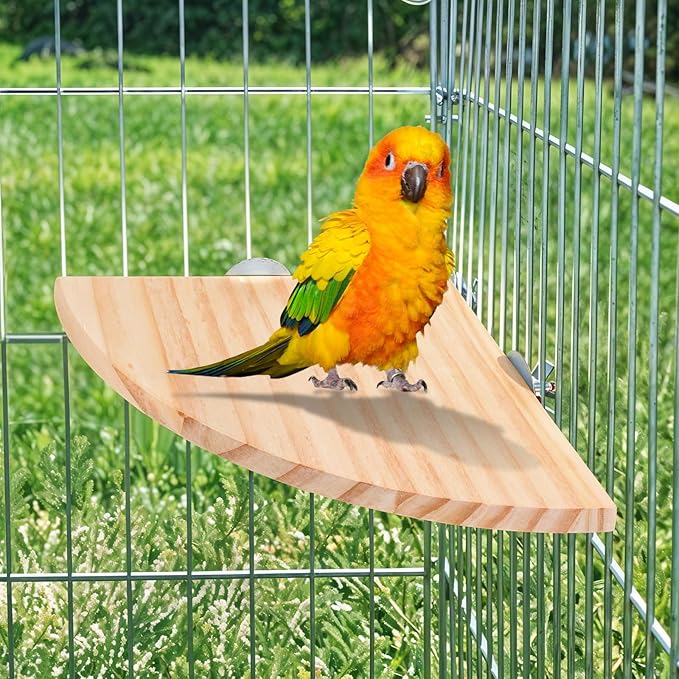 Bird Cage Sticks Wooden Parakeet Perches Cockatiel Cage Wooden Sticks Parrot Bird Stick for Cages Parrot Canary Budgie Canaries Conures Finches