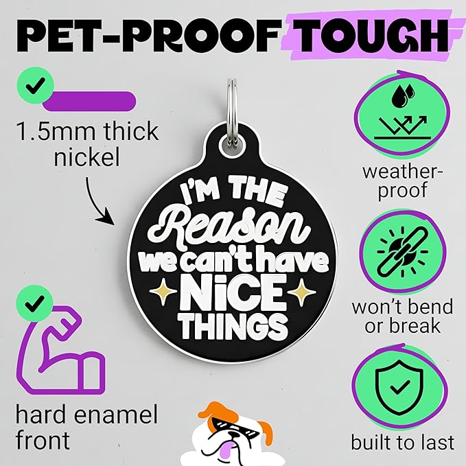 Bad Tags Personalized Dog and Cat ID Tags in 25+ Designs and 2 Sizes - 5 Lines of Custom Engraved Text - Funny Cute Personalized Pet Tags (I'm The Reason We Can't Have Nice Things, Large (1.25 inch))