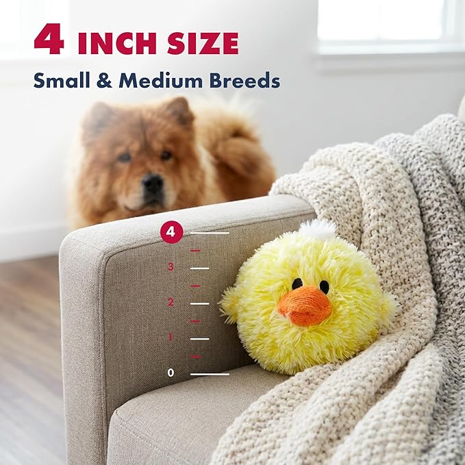 Pet Lou DOG'Z 4 Inch EZ Squeaky Chick Dog Plush Toy, Stuffing-Free Soft Plush, Durable Bouncy Squeaker Ball, Floats in Water, for Small & Medium Dogs, Yellow