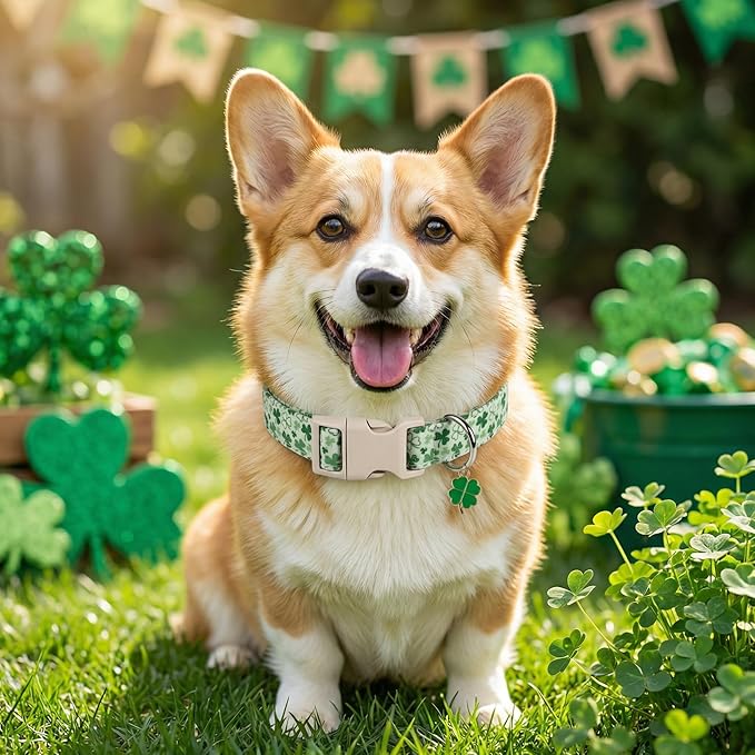XS Dog Collar for St. Patrick's Day, Cute Dog Collar with Green Clover for Puppy, Extra Small & Small Dogs, Adjustable Puppy Collar with Soft Fabric and Quick Release Buckle