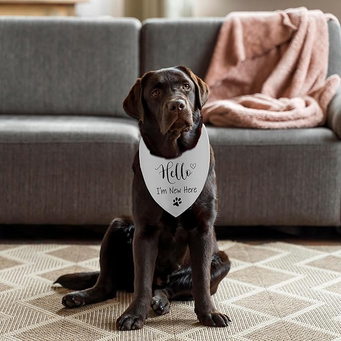 Hello I'm New Here Dog Bandana, New Puppy Reveal Party Photo Prop, Cute New Puppies Announcement Gifts for Dog Owner, Triangle Bibs Scarf for Pets