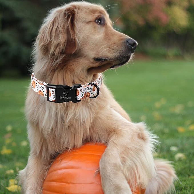 Fall Dog Collar, Cute Orange Pumpkin Pattern Puppy Collar, Soft Comfort Adjustable Holiday Thanksgiving Dog Collars for Small Medium Large Boy&Girl Dogs XL
