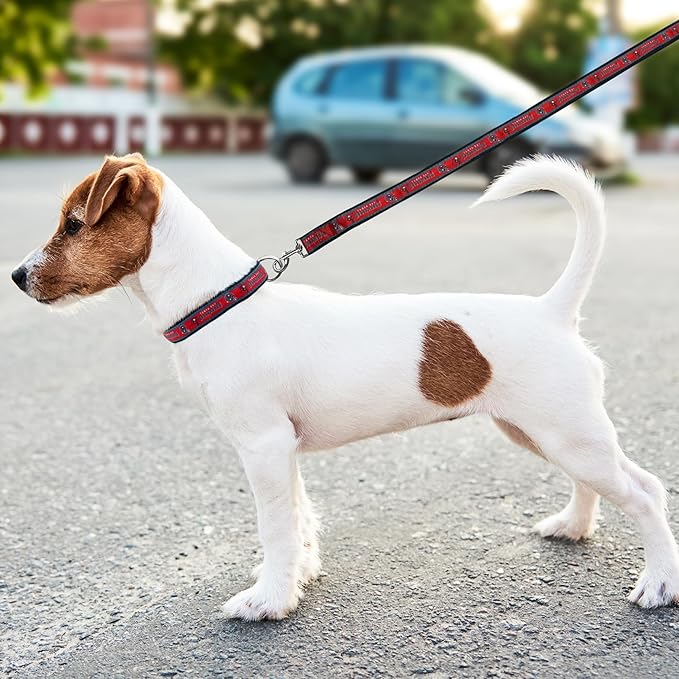 Pets First NFL Tampa Bay Buccaneers Licensed PET COLLAR, Small - Heavy-Duty, Strong, and Durable Dog Collar. Available in 31 Football Teams and 4 Sizes