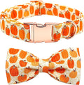 Dog Collar - Halloween Pumpkin Bowtie Dog Collar Gift Soft Bow Collar Pet Adjustable Metal Buckle Dog Collar for Large Dogs