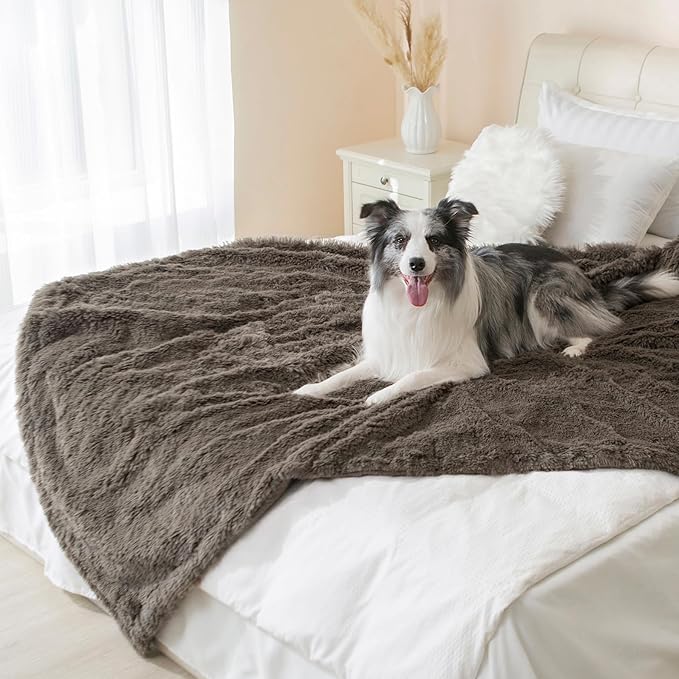gogobunny Waterproof Dog Blanket for Couch & Furniture Protection - Super Soft Reversible Throw for Large Dogs & Cats, Calming Washable Fur & Sherpa Pet Blanket (33x77 Inch, Stone)