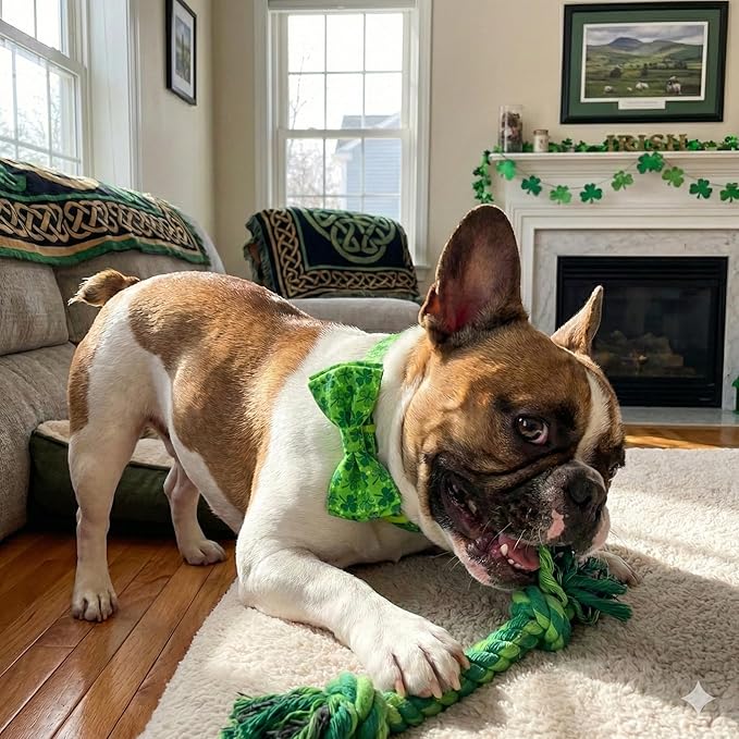 St. Patrick Day Dog Collar Adjustable Puppy Collar with Clover Pattern, Cute Pet Accessories for Small Medium Large Dogs