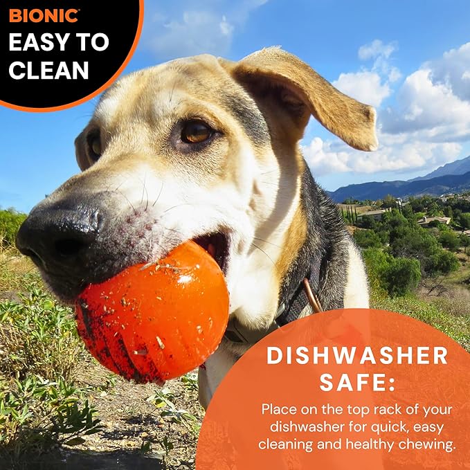 BIONIC Ball Dog Toy, Small - Interactive Dog Chew Toy That Stands Up to The Toughest Chewers, for Dogs up to 20 lbs. (9 kg)